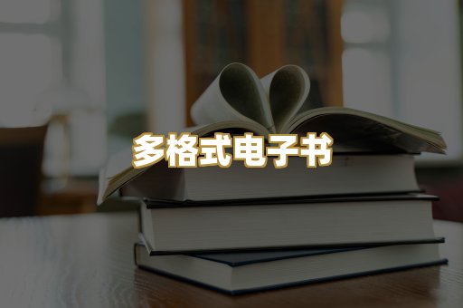 多格式电子书
